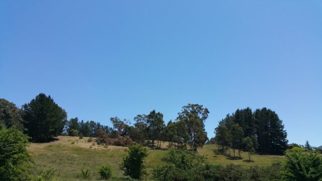 089544ea12d185b598c6ba98de96cd6f_-victoria-mount-alexander-shire-taradale-old-gold-mine-sitehtml.jpg