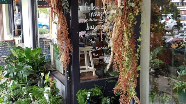 2415dea1fdcf967f99ed775a6be5ae3b_-victoria-mount-alexander-shire-castlemaine-castlemaine-floristry-03-5470-5009html.jpg