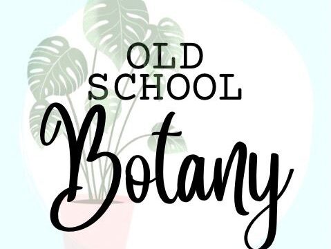 3374fa179c2030ddd58f19fa943547cd_-victoria-mount-alexander-shire-ravenswood-south-old-school-botany-0411-961-686html.jpg
