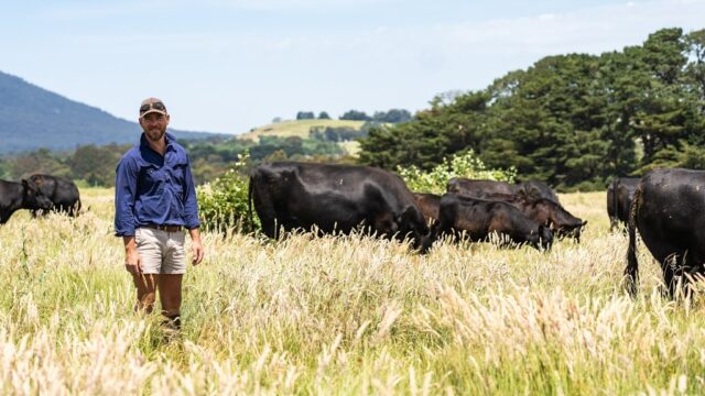 558b6fb5b9e2296b78c6654f0a87193d_-victoria-macedon-ranges-shire-woodend-north-re-gen-farms-0413-477-379html-1.jpg