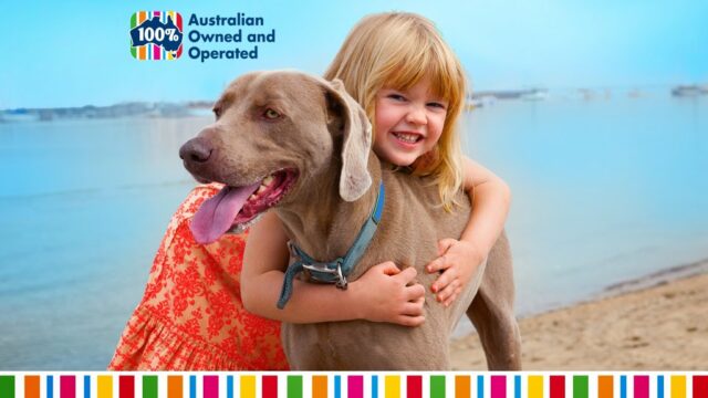 a3b151d7a8553c447bd9d8eb19bb0898_-victoria-mount-alexander-shire-castlemaine-petstock-castlemainehtml.jpg