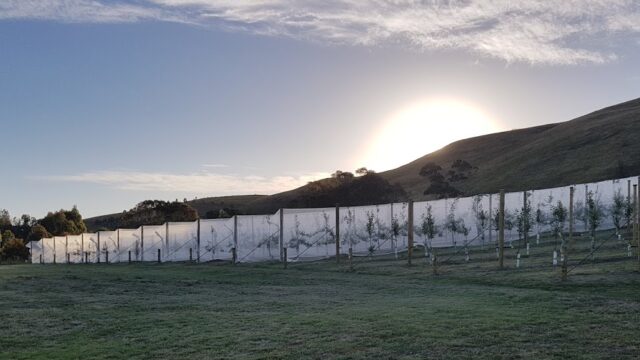 a596bcf7ddac3759ff73c7cb9d9f9e61_-victoria-macedon-ranges-shire-darraweit-guim-darraweit-valley-cider-house-0402-418-347html.jpg