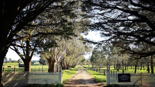 bac7a88319d484e05794b093ee06355a_-victoria-macedon-ranges-shire-lancefield-parkside-winery-estate-0419-036-581html.jpg