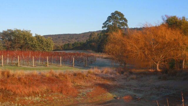 d39a10df77d3af681c58ea2eefb12c5b_-victoria-macedon-ranges-shire-lancefield-lyons-will-estate-0412-681-940html.jpg