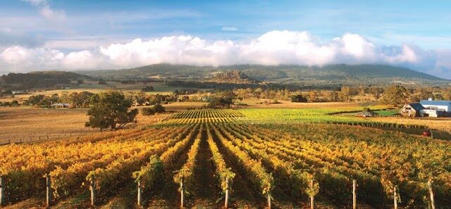 db77f41d8b58d64497a824268f0e2fb0_-victoria-macedon-ranges-shire-newham-hanging-rock-winery-03-5427-0542html.jpg