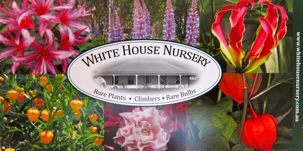 f443375a9bf23c75a952c688b51c1df6_-victoria-macedon-ranges-shire-ashbourne-white-house-nursery-0419-002-651html.jpg